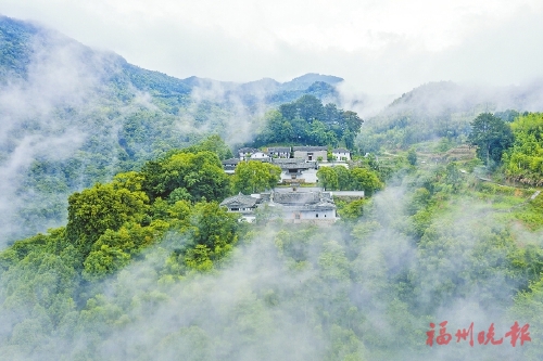 140多株树木平均树龄150年