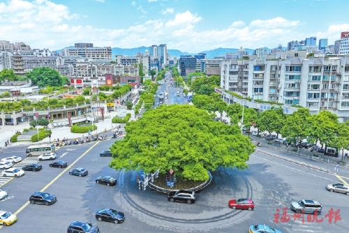 福州“绿色遗产”变身“流量密码”