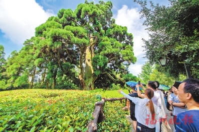 福州“绿色遗产”变身“流量密码”