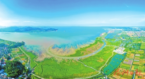 治林兴林五年路　山水榕城绿意浓