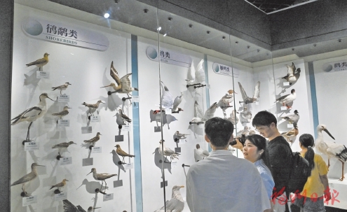 立体化科普让市民读懂湿地之美