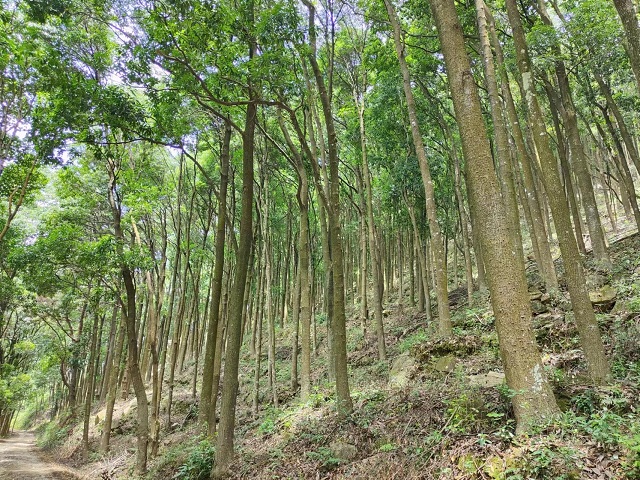 福建省闽侯白沙国有林场